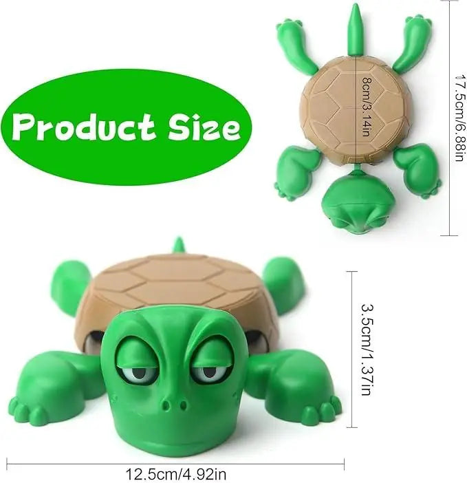 Funny Turtle Coaster